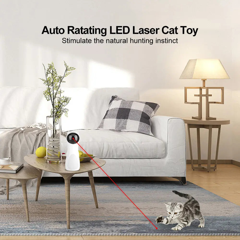 Automatic LED Red Laser Pet plaza