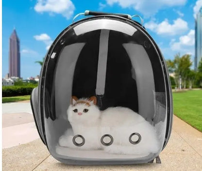 Cat Bag Full Transparent Pet Space Bag Pet plaza