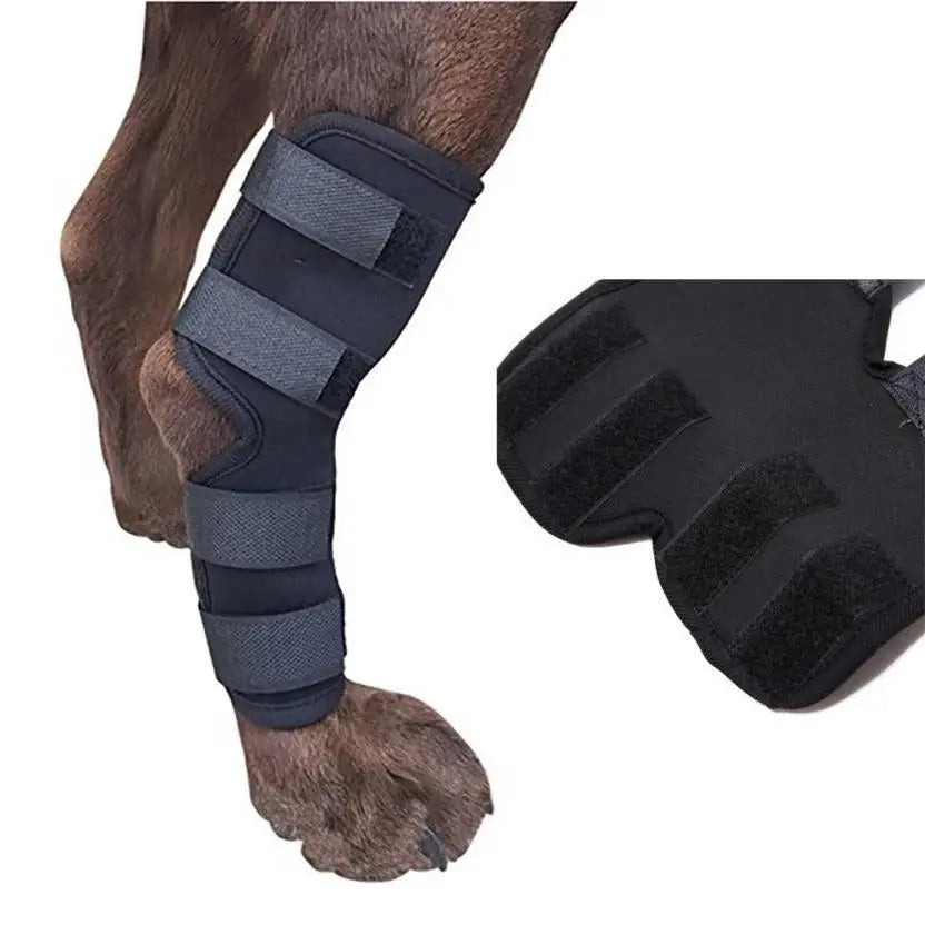 Dog Leg Brace Pet plaza