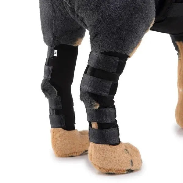 Dog Leg Brace Pet plaza