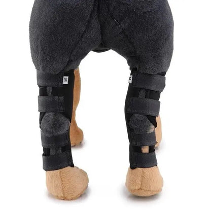 Dog Leg Brace Pet plaza