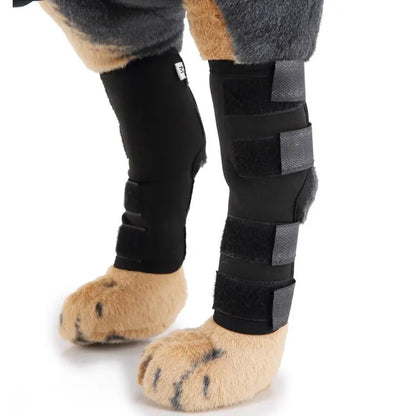 Dog Leg Brace Pet plaza