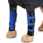 Dog Leg Brace Pet plaza