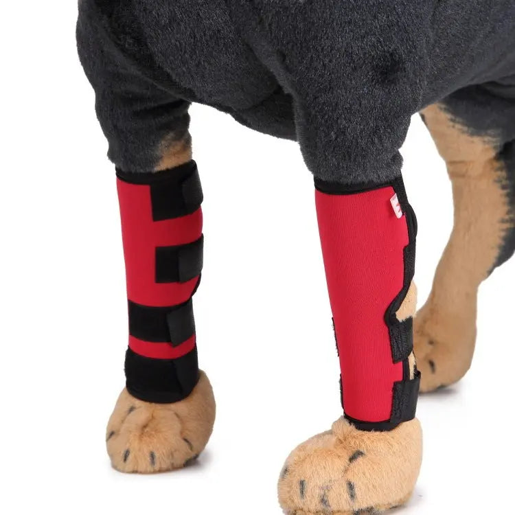 Dog Leg Brace Pet plaza