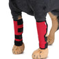 Dog Leg Brace Pet plaza