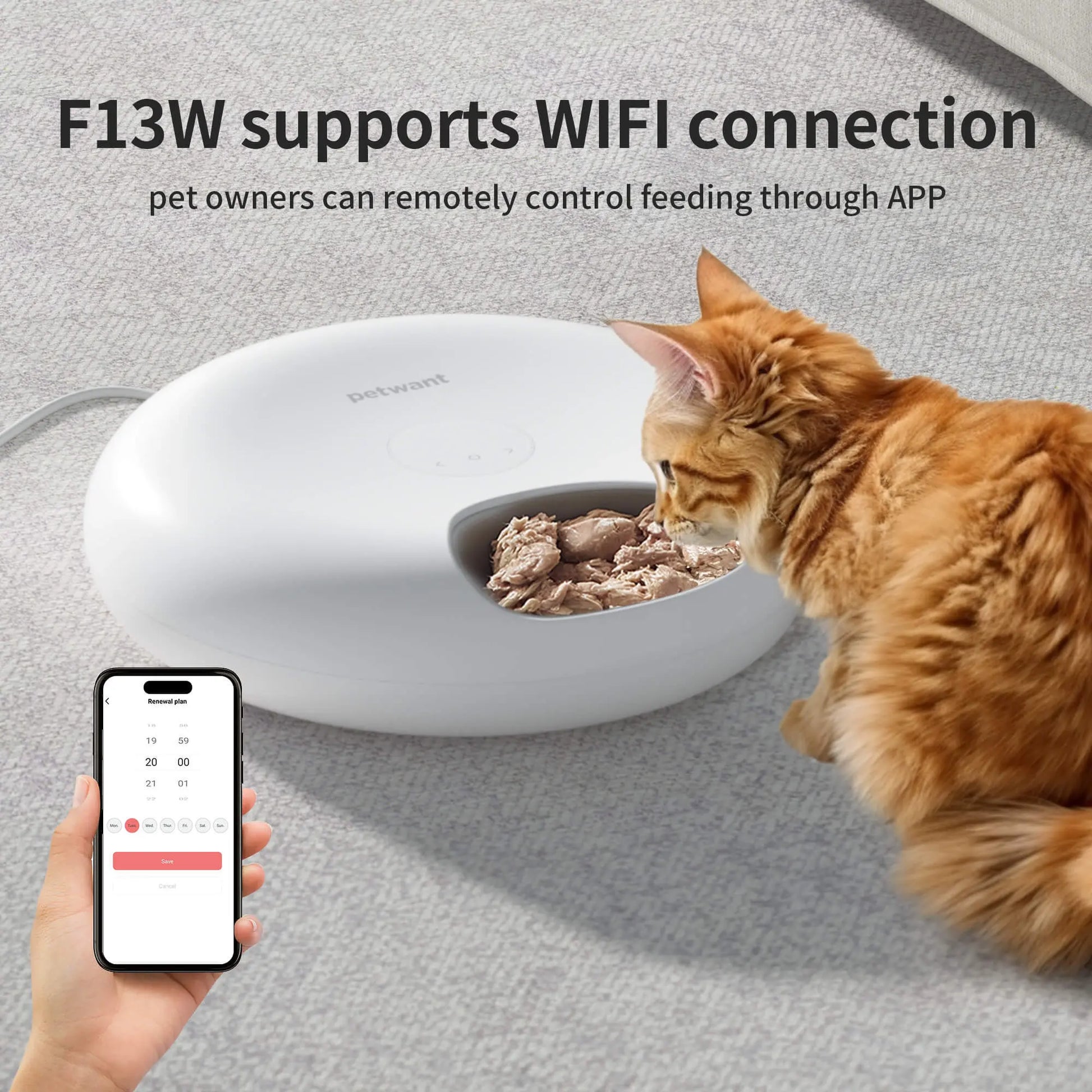 Donut Frost WiFi 6 Meal Automatic Cat Food Dispenser With App Control, Pet plaza