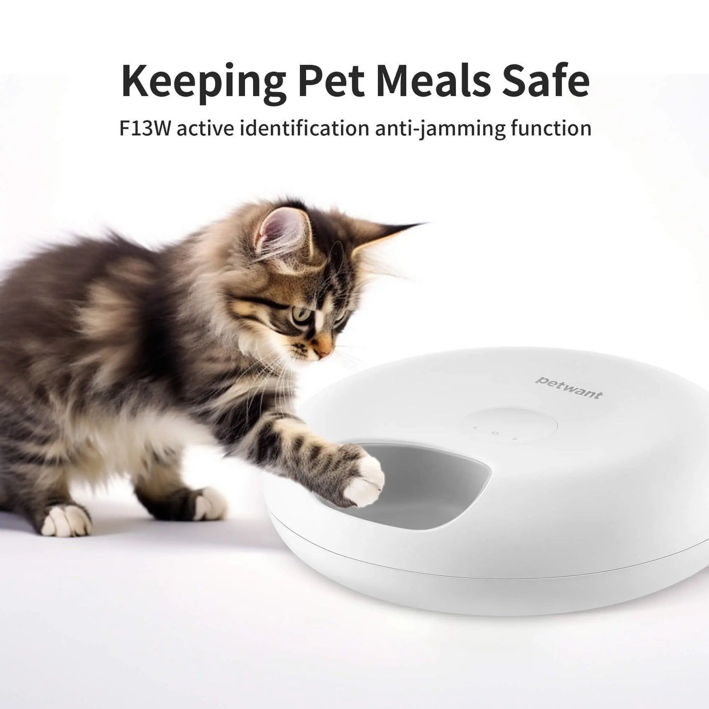 Donut Frost WiFi 6 Meal Automatic Cat Food Dispenser With App Control, Pet plaza