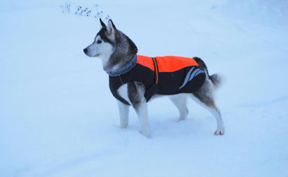 Fashionable Pellet Down Jacket For Dogs Pet plaza