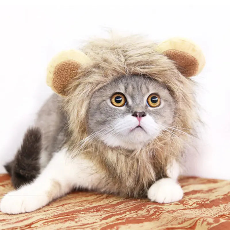 Funny Pet Hat For Small Dogs Cats Hat Emulation Lion Hair Mane Ears Head Cap Pet plaza