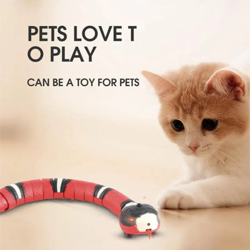 Interactive Electric Induction Snake Funny Cat Toy Pet plaza