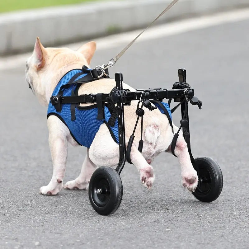 Pet Disabled Dog Wheelchair Scooter Pet plaza