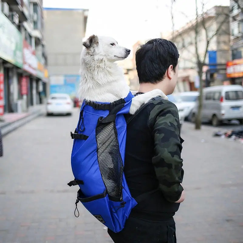 Pet Dog Carrier Bag Carrier For Dogs Backpack Pet plaza