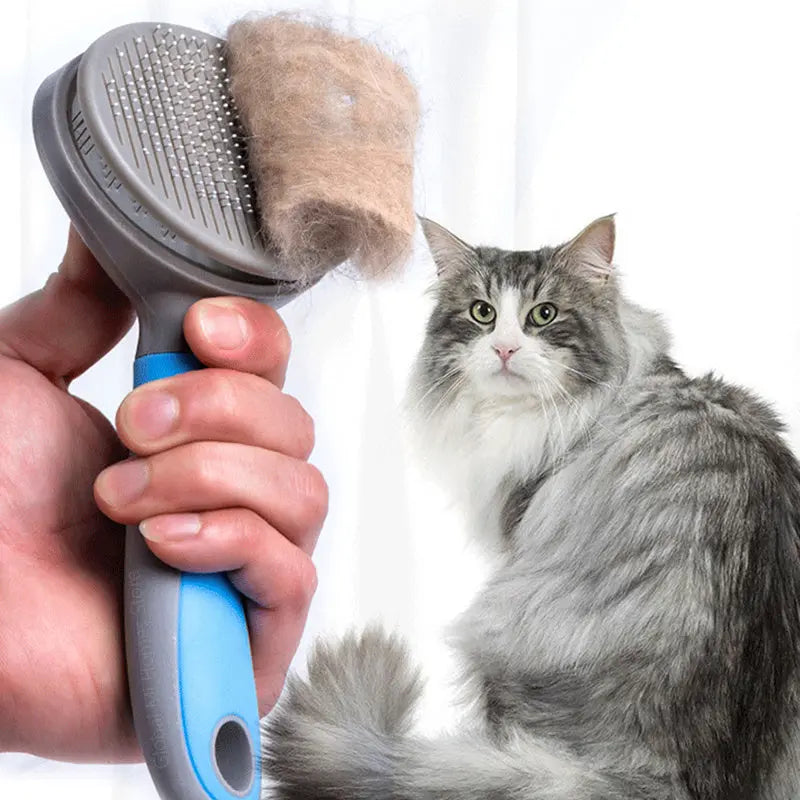 Pet steel needle brush Pet plaza