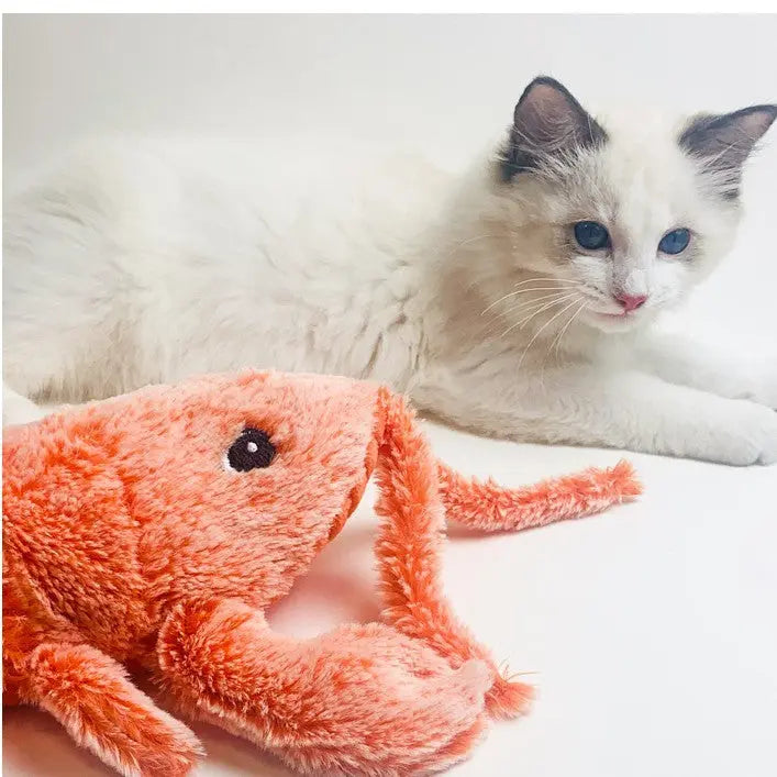 USB Charging Simulation Lobster Funny Cat Plush Pets Toy Pet plaza