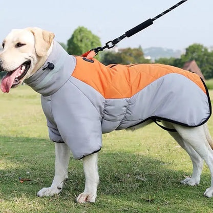 Winter Dog  Labrador Jacket Pet plaza