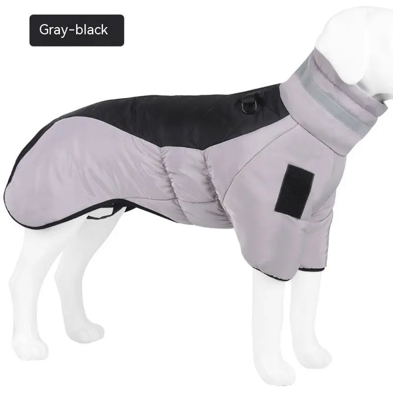 Winter Dog  Labrador Jacket Pet plaza