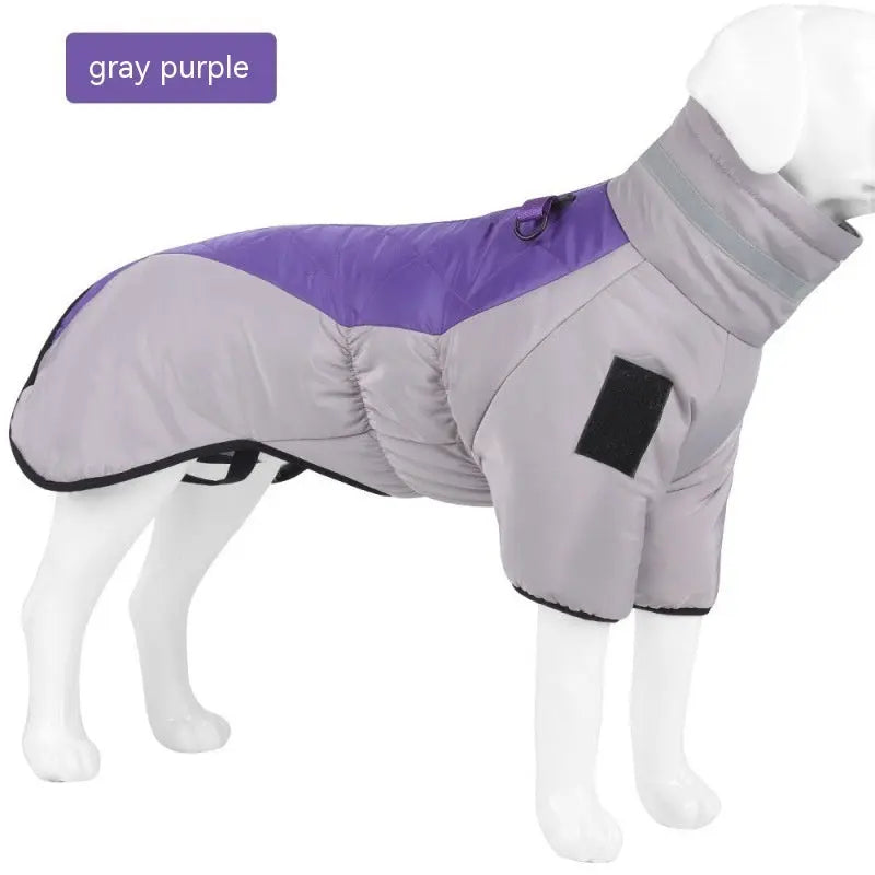 Winter Dog  Labrador Jacket Pet plaza