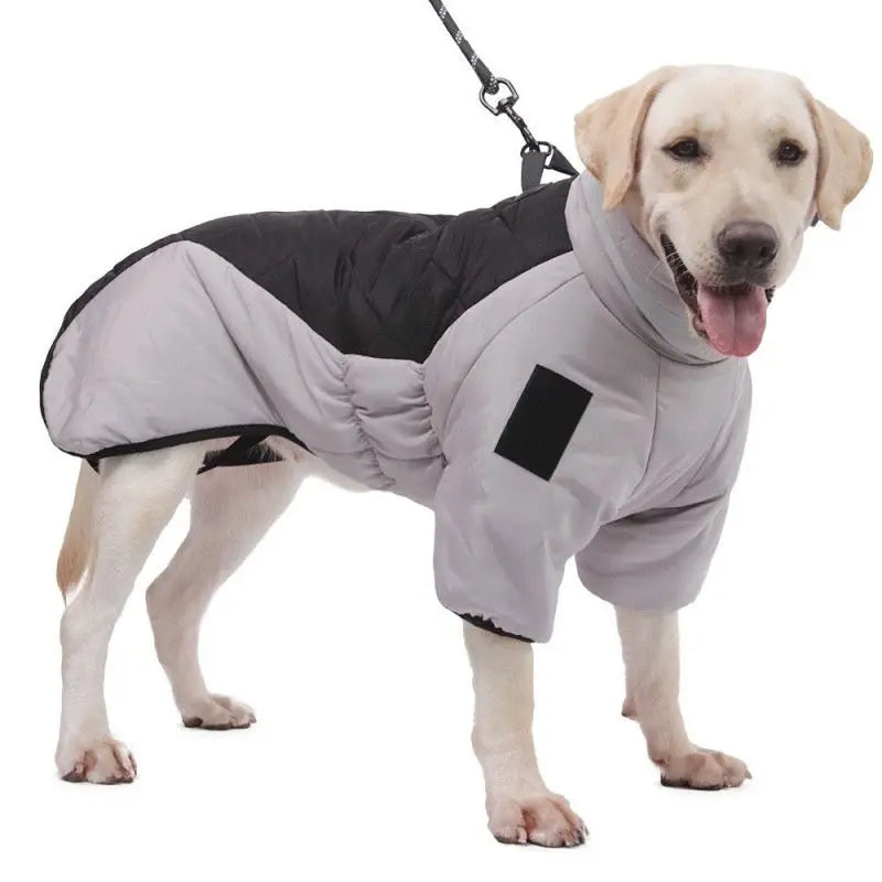 Winter Dog  Labrador Jacket Pet plaza