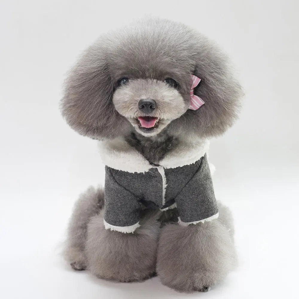 Winter Pet Clothing Pet plaza