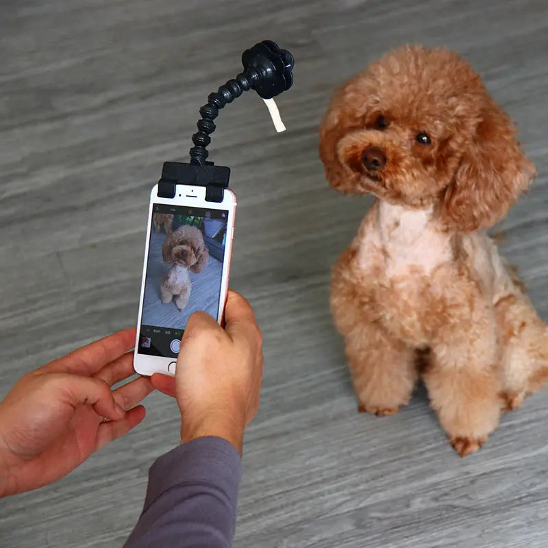 pet Selfie Stick  Artifact Pet plaza